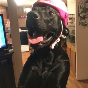 Meet your Posher, Alicia